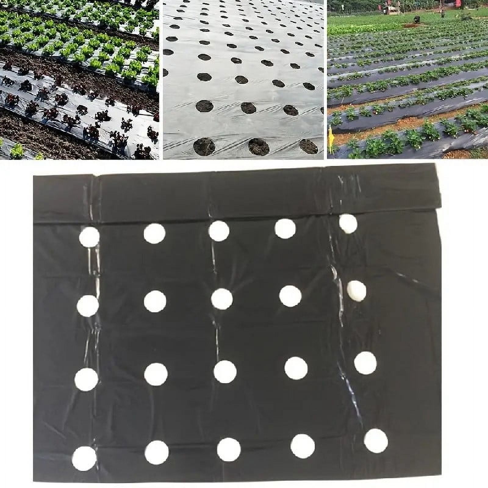 Plastic Insulation Mulch Film | Perforated Weed Barrier, Breathable Planting Sheet for Crops, Excellent Heat Insulation, UV-Resistant, Durable Plastic, Easy Install | 1 Pack